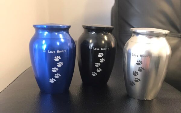 Pet Token Of Ashes Urn