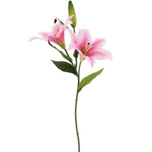 83cm Cerise double headed lilly