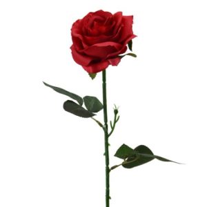 48cm SINGLE OPEN ROSE RED